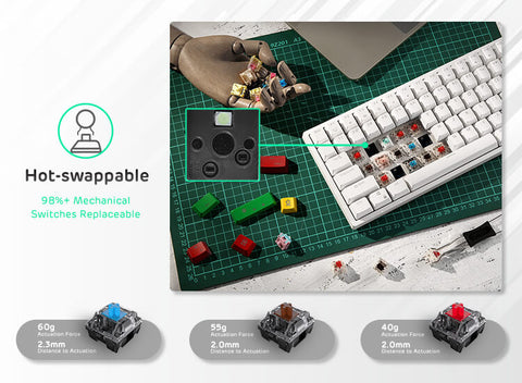 the different types of Mechanical Keyboard Switches
