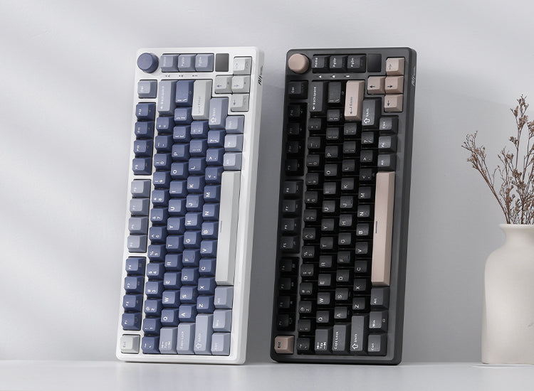 RK M75 Wireless Gaming Keyboard