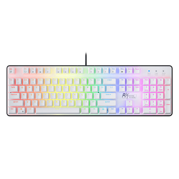 RK920 100% Full Size Keyboard