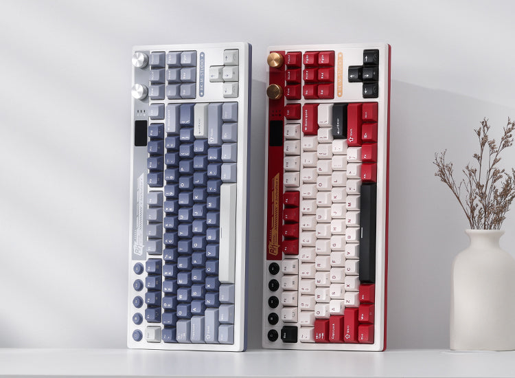 RK M87 TKL Wireless Gaming Keyboard