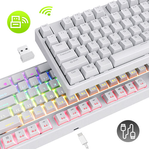 RK87 Tenkeyless Mechanical Keyboard with Dual-Mode Connectivity: Wireless 2.4Ghz and Wired USB