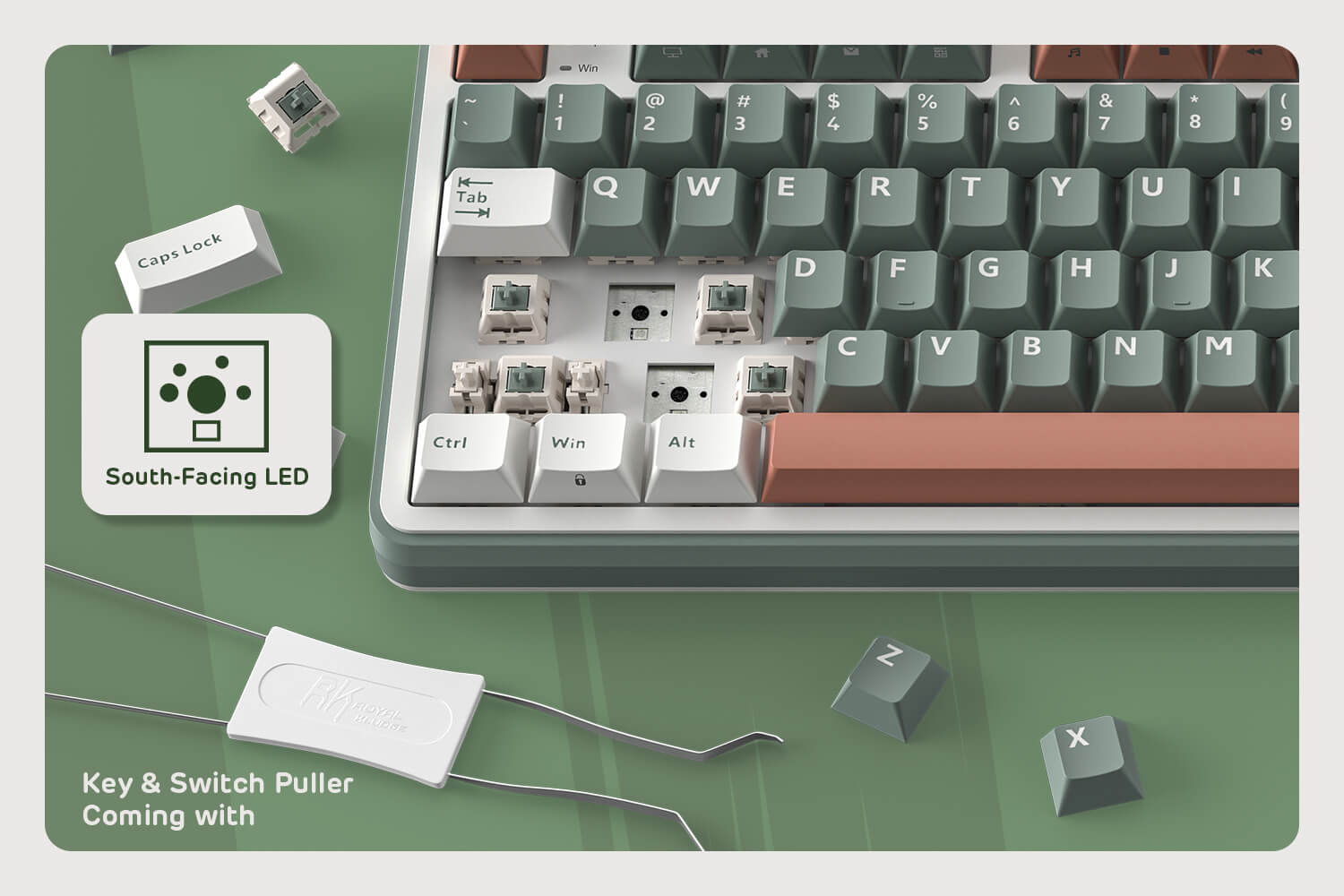 Overview of the Royal Kludge S98 keyboard highlighting south-facing LED lights, key and switch puller included, and a close-up of the keyboard's switch slots and keycaps