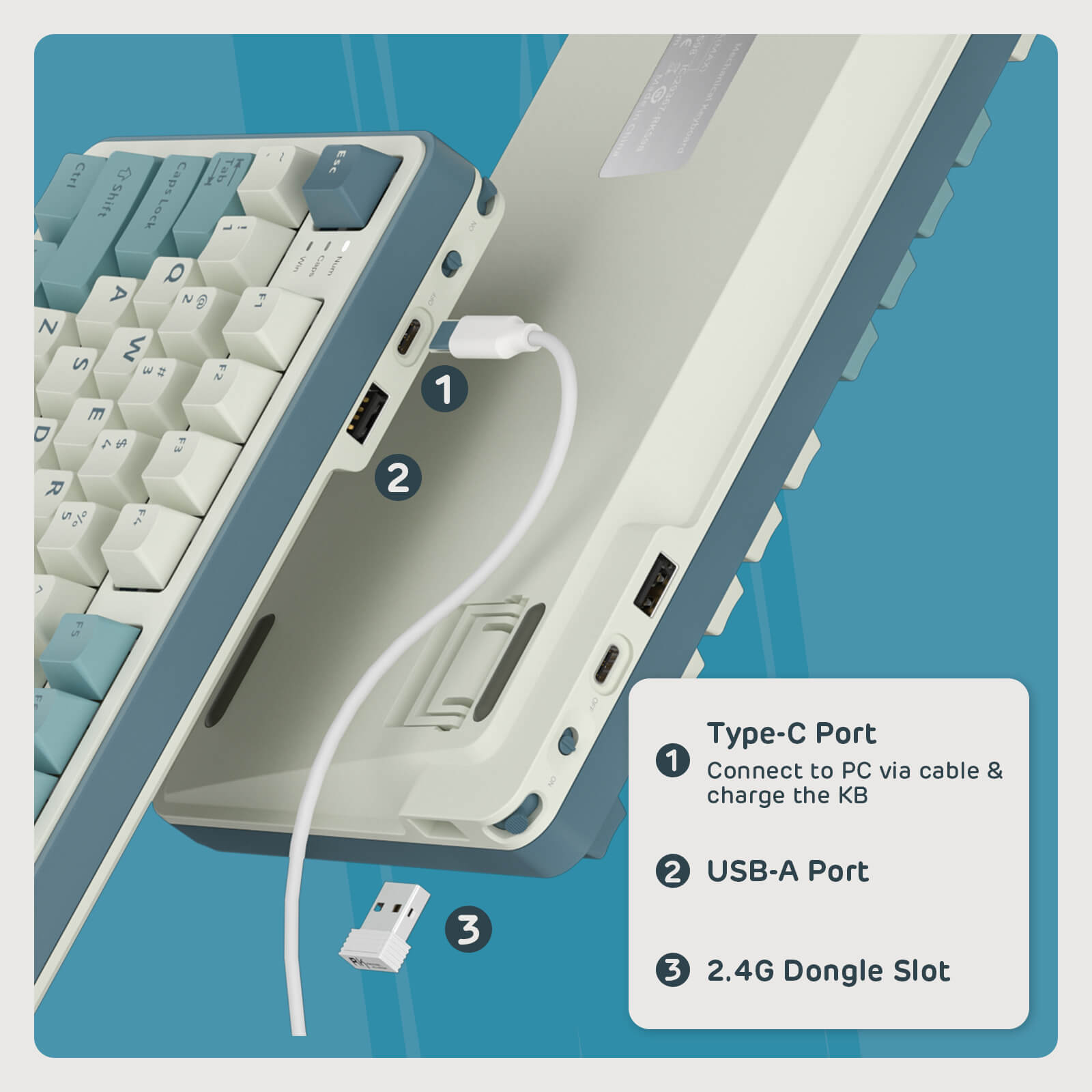 Illustration of the Royal Kludge S98 keyboard's USB hub and Type-C ports, highlighting connections for charging and data transfer, including USB-A port and 2.4G dongle slot