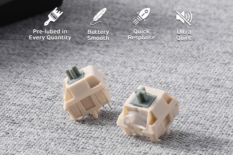 RK Fast Silver Switch