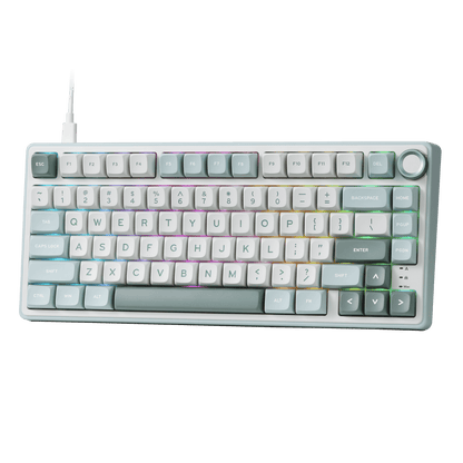 RK ROYAL KLUDGE R75 Mechanical Keyboard Wired with Volume Knob, 75% Custom Gaming Keyboard Gasket Mount RGB Backlit with Software, MDA Profile, PBT Keycaps, Hot Swappable Linear Switch Creamy Sound, green