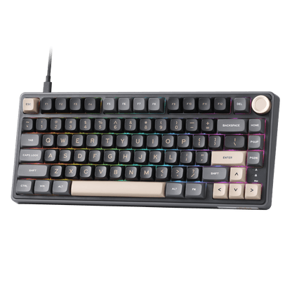 RK ROYAL KLUDGE R75 Mechanical Keyboard Wired with Volume Knob, 75% Custom Gaming Keyboard Gasket Mount RGB Backlit with Software, MDA Profile, PBT Keycaps, Hot Swappable Linear Switch Creamy Sound, black