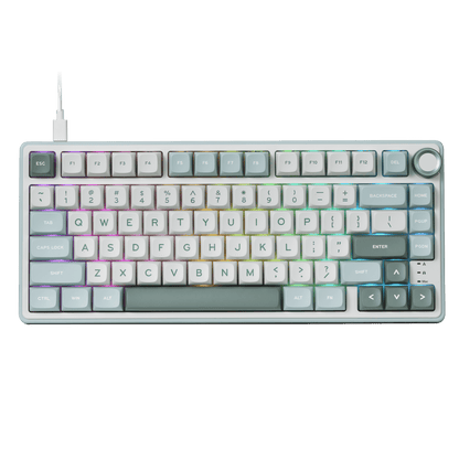 RK ROYAL KLUDGE R75 Mechanical Keyboard Wired with Volume Knob, 75% Custom Gaming Keyboard Gasket Mount RGB Backlit with Software, MDA Profile, PBT Keycaps, Hot Swappable Linear Switch Creamy Sound, green