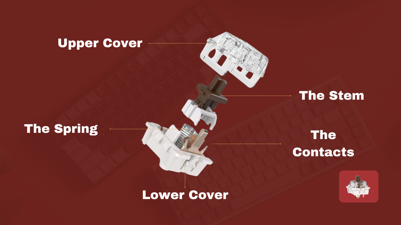 RK Royal Kludge Switch Mechanism