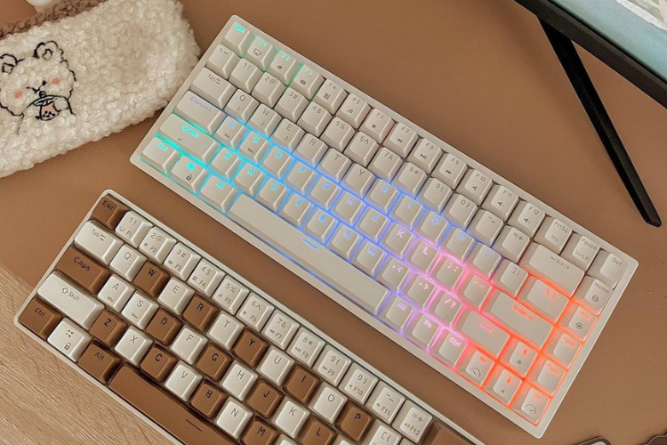 Backlighting and RGB Lighting