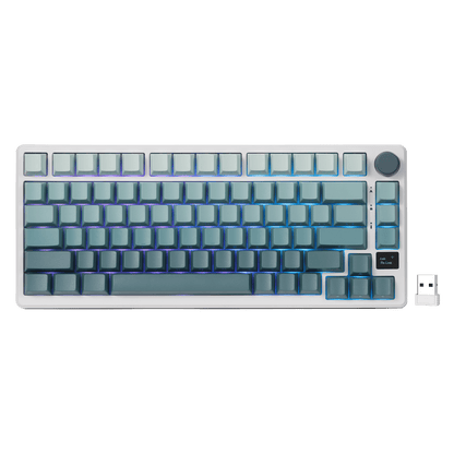 RK ROYAL KLUDGE M75 75% Wireless Mechanical Keyboard, 81 Keys Gasket-Mount, OLED Smart Display, Rotary Knob, Hot-Swappable Pre-Lubed Cloud Switches, Gradient PBT Keycaps, RGB Backlighting, Triple Mode Connectivity for Gaming & Office Use