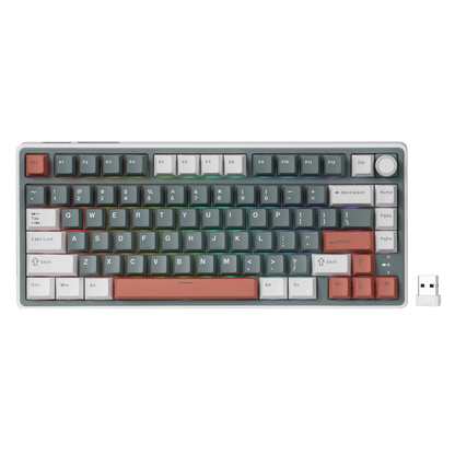 RK ROYAL KLUDGE R75 Wireless Mechanical Keyboard, 75% Percent Custom Gaming Keyboard Gasket Mount RGB Backlit with Knob & PBT Keycaps, BT5.1/2.4GHz/USB-C, QMK/VIA, Hot Swappable Cream Switch, Green